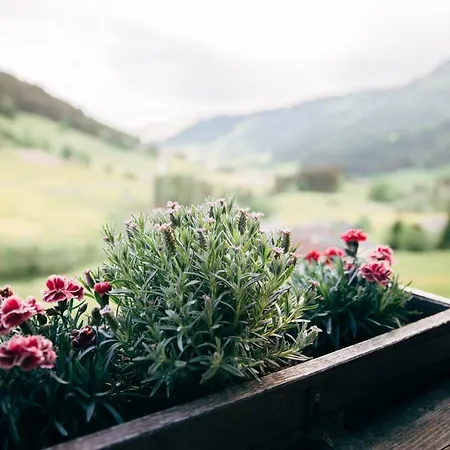 Apartament Zauberhuette